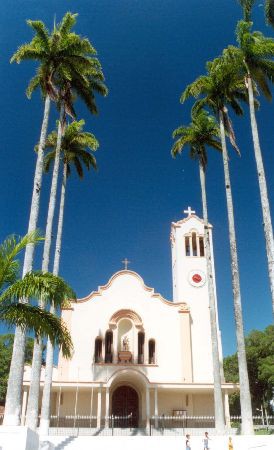 Foto de Marcelo Figueiredo